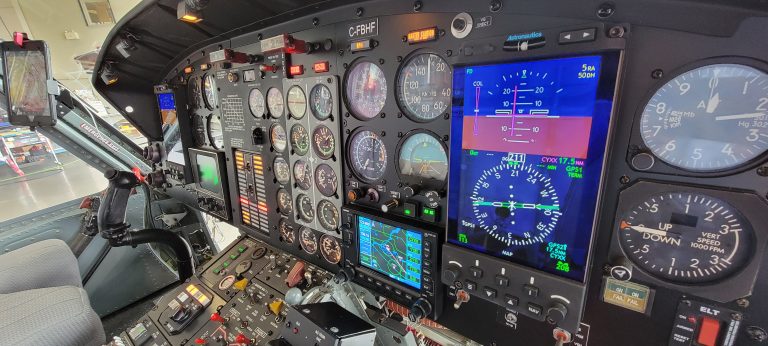 The Astronautics RoadRunner Electronic Flight Information System